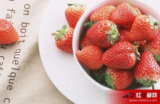 娱乐吃瓜酱草莓视频下载